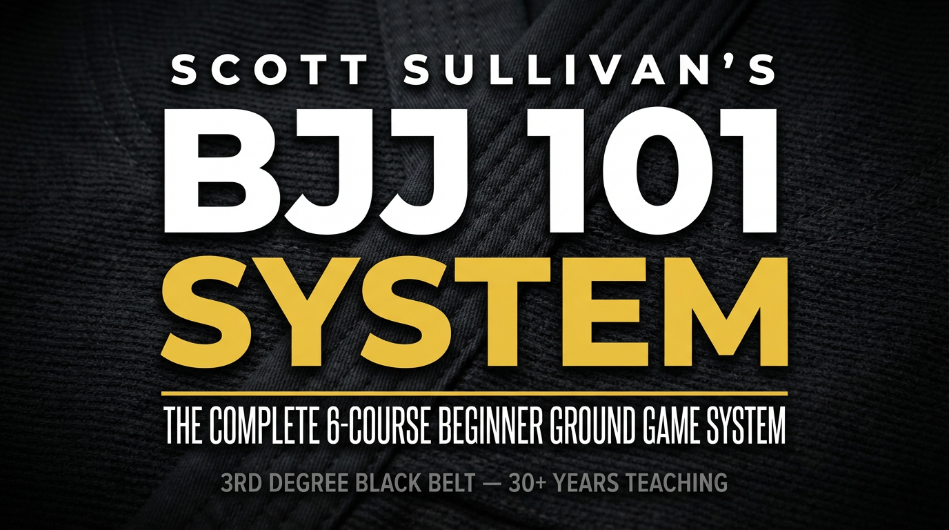 BJJ 101 System