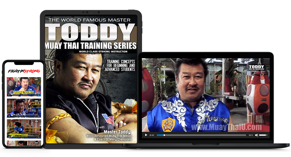 Master Toddy Muay Thai Series