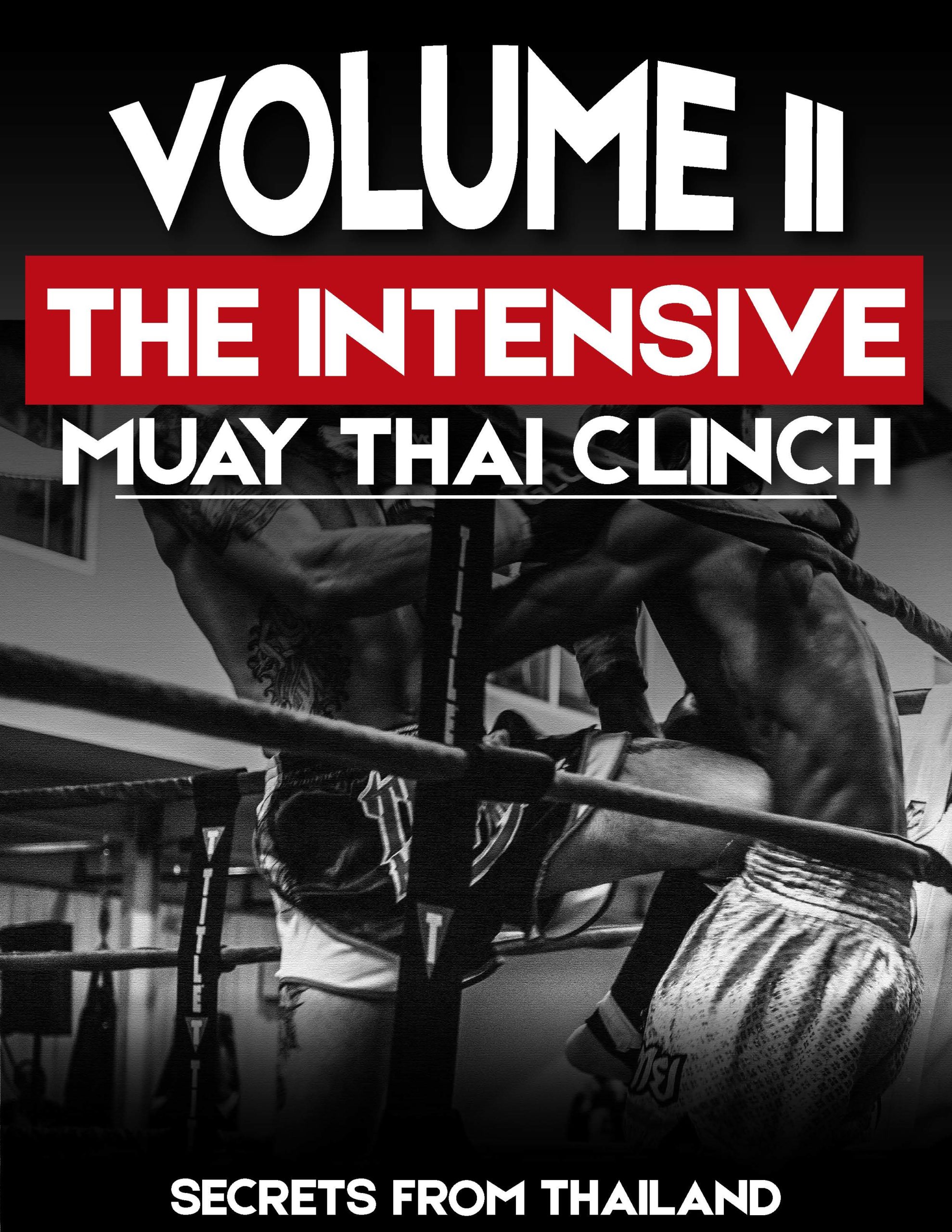 secrets-from-thailand-intensive-muay-thai-clinch